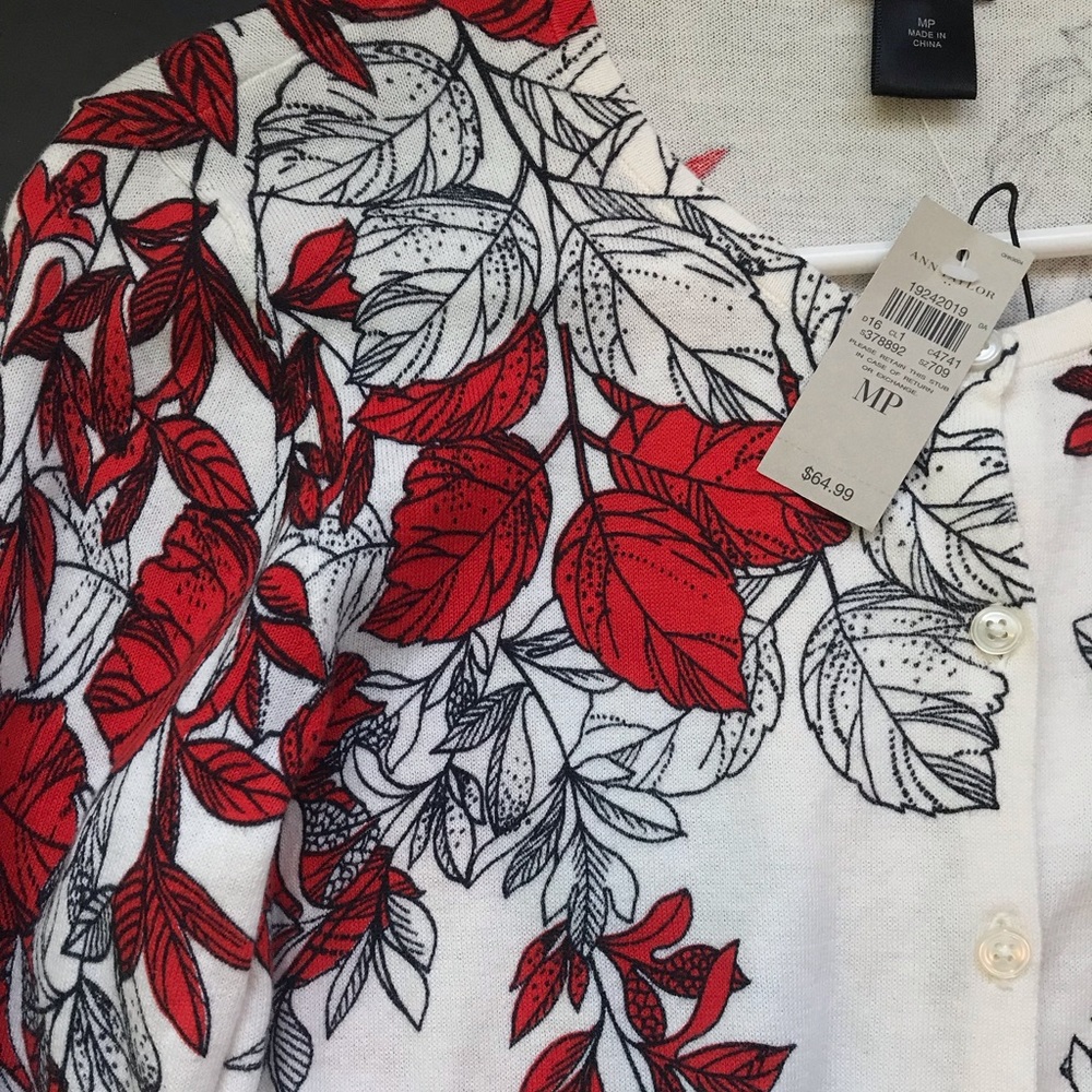 Ann Taylor Loft 3/4 Lightweight Sweater